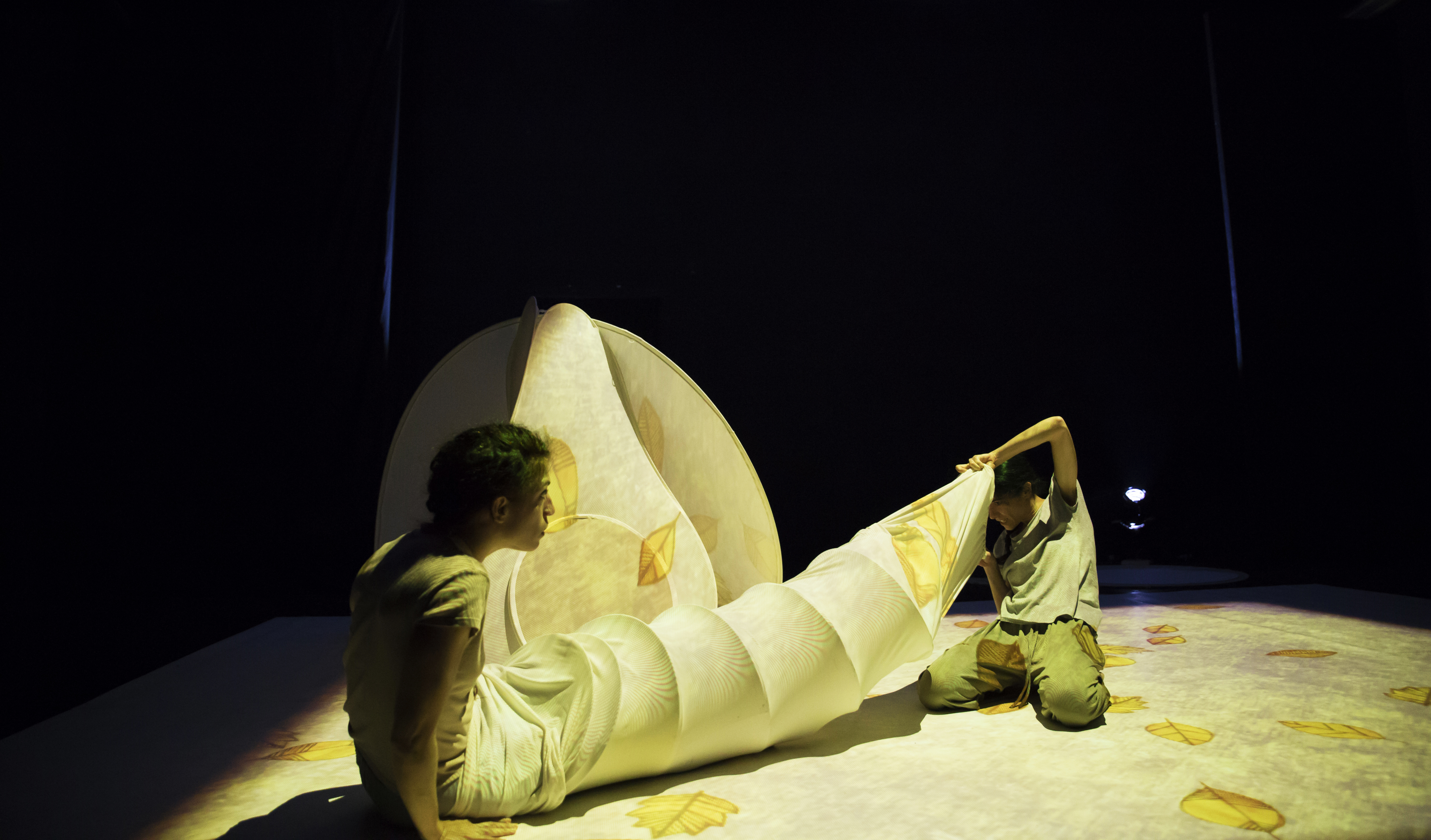 TANEC PRAHA / Compagnia TPO (IT) / TANA